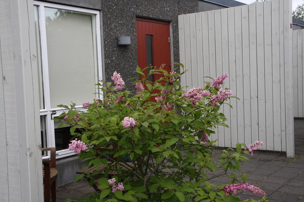 Frumskogar Guesthouse & Apartments Hveragerdi Zewnętrze zdjęcie